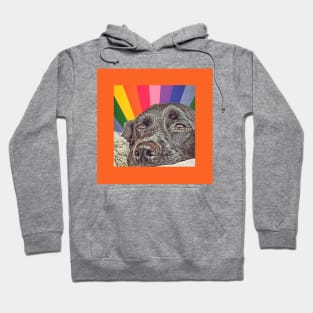 Pride dog Hoodie